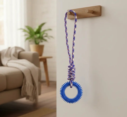Anneau dentaire chien bleu accroché dans un salon, jouet dentaire durable pour chiens qui aiment mâcher.