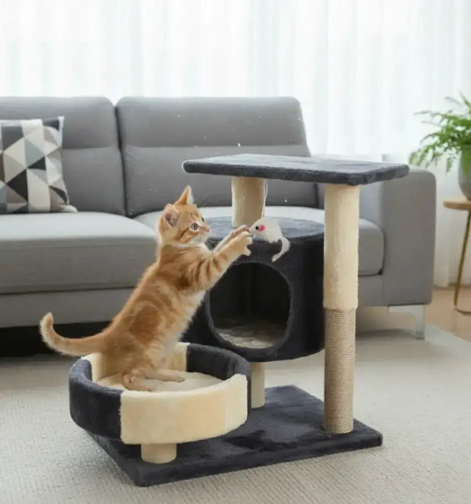 Petit arbre à chat pas cher gris foncé et beige, chaton qui joue dessus dans un appartement au style scandinave.