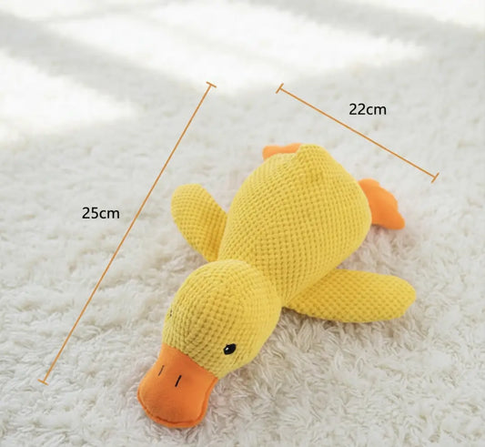 Canard Anti-Ennui posé au sol dans un salon cosy, avec ses dimensions, jouet à mâcher chien pas cher idéal pour chiots et petits chiens.