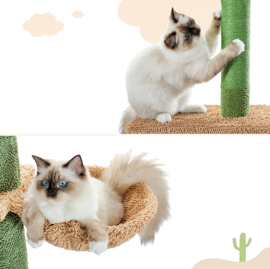 Chat grattant les poteaux en sisal naturel et se reposant dans le hamac d’un arbre à chat 2m design cactus stable.