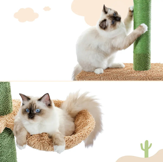 Chat grattant les poteaux en sisal naturel et se reposant dans le hamac d’un arbre à chat 2m design cactus stable.