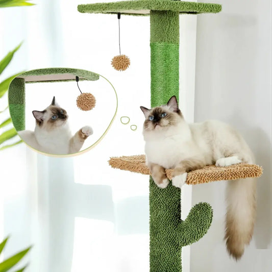 Chat jouant avec le pompon suspendu d’un arbre à chat 2m design cactus, tour d’escalade stable et moderne.
