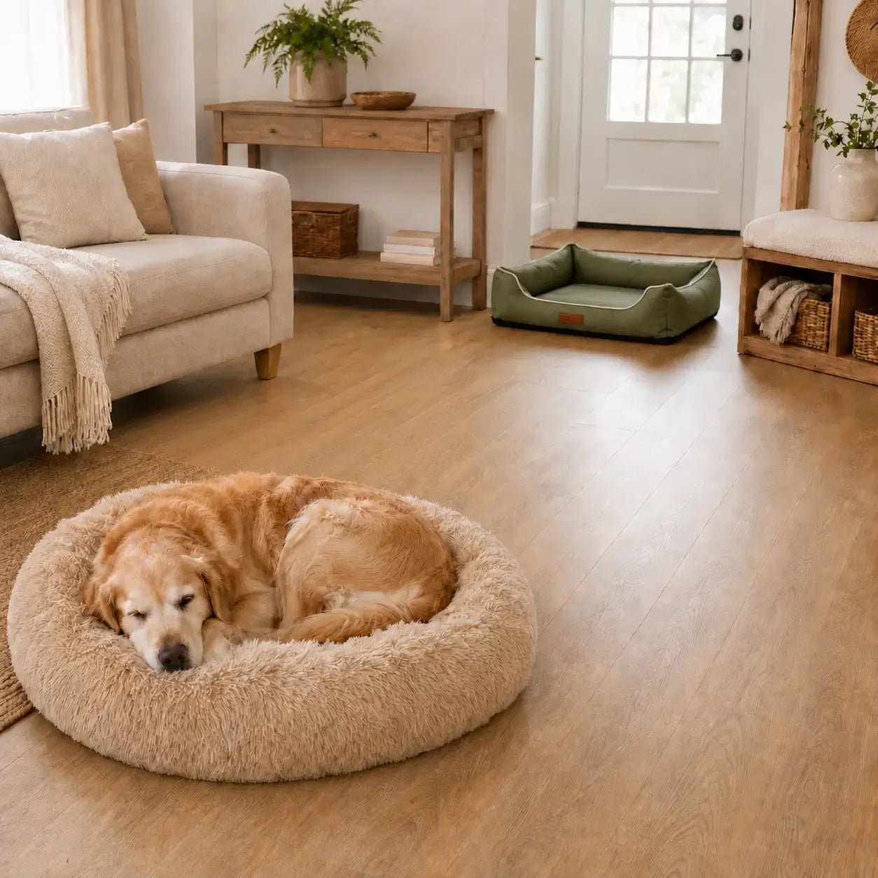 Chien dans un intérieur lumineux avec coussin rond doux, couchage grand format, housse déhoussable et coussin imperméable.