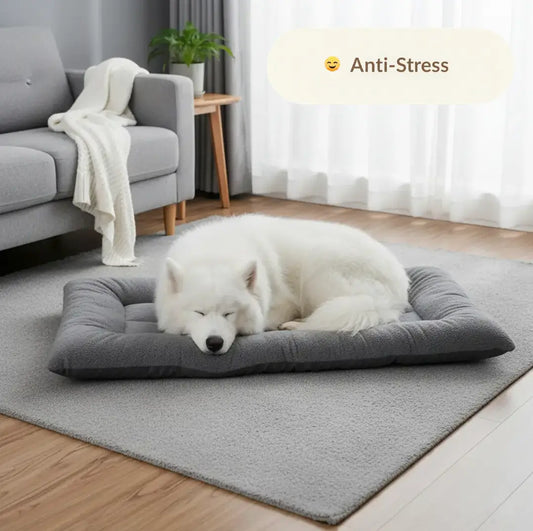 Coussin apaisant chien XXL gris utilisé par un Samoyède qui dort, coussin anti stress moelleux idéal pour chien anxieux dans un salon cosy.