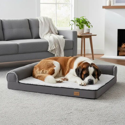 Beethoven endormi sur un coussin chien XXL 120 cm orthopédique, idéal pour les grands chiens de 30 à 42 kg dans un salon cosy.
