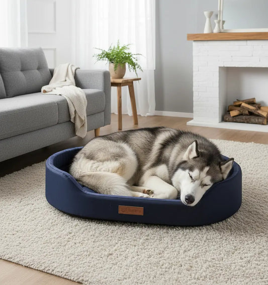 Coussin chien XXL design bleu nuit avec un husky endormi dans un salon moderne, lit cosy et esthétique pour intérieur maison.