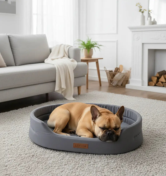 Coussin chien XXL design gris clair avec bulldog français dans un salon cosy, coussin moderne pour intérieur maison et grands chiens.