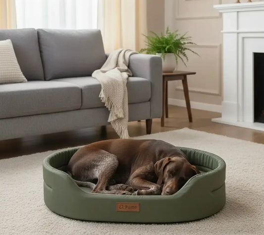 Coussin chien XXL design vert kaki avec Braque Allemand, lit moderne et confortable intégré à la déco d’un salon cosy.