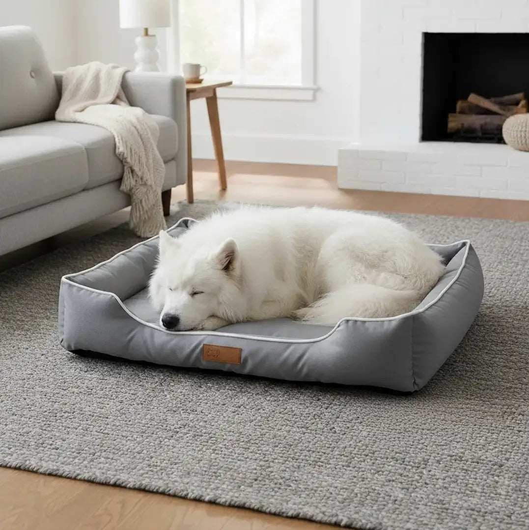 Coussin chien XXL imperméable gris avec Samoyède endormi, très confortable pour grands chiens, tissu Oxford 900D résistant et 4 saisons.