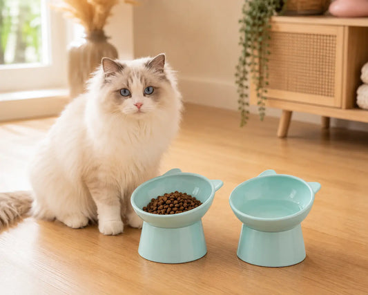 Duo de gamelles chat surélevées bleues pour un repas complet avec eau et croquettes dans une position plus confortable