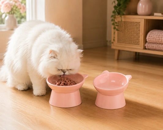 Duo de gamelles chat surélevées roses avec eau et pâtée adapté aux chats à face plate comme le Persan