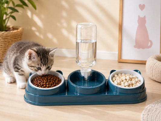 Gamelle chaton avec distributeur d’eau 3 en 1 bleu pétrole permettant de réunir croquettes, eau fraîche et nourriture dans un espace repas adapté aux jeunes chats