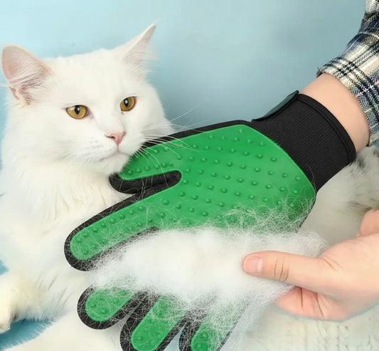 Gant anti-poil chat Main Coon capture les poils morts pendant la mue, idéal pour chats à poils longs et sensibles