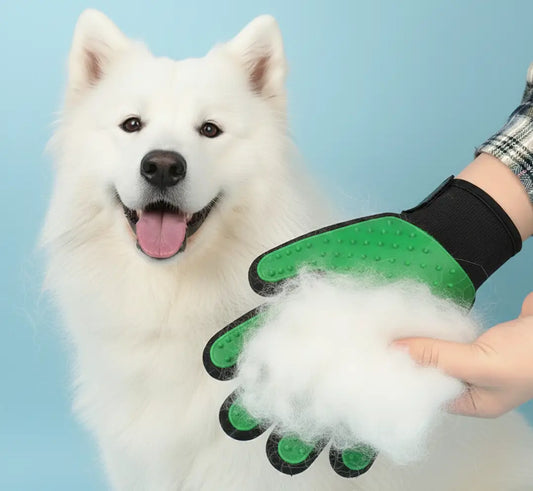 Gant anti-poil chien enlève les poils morts lors du toilettage, améliore l’hygiène et le bien-être du chien au quotidien