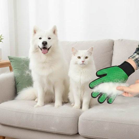 Gant anti-poil chien et chat enlève les poils sur canapé, tapis et vêtements, solution pratique contre la perte de poils à la maison