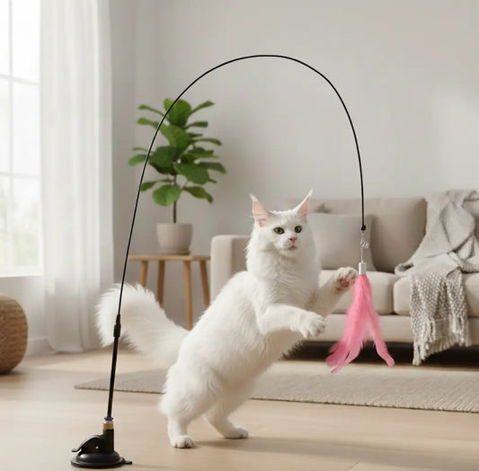 Jouet plume interactif pour chat stimulant l’instinct de chasse, adapté aux grands chats comme le Maine Coon en intérieur.