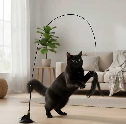 Jouet plume interactif pour chat avec ventouse, parfait pour stimuler l’activité physique d’un chat d’intérieur en surpoids